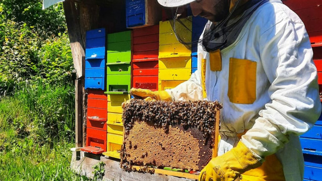 287864915-123291683721526-7066899032426997700-n-e1656082857244-1024x1024