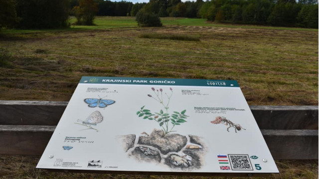 310423179-550018797123877-7501712162766637252-n-1