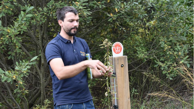 310876567-550028553789568-8299576933225815489-n