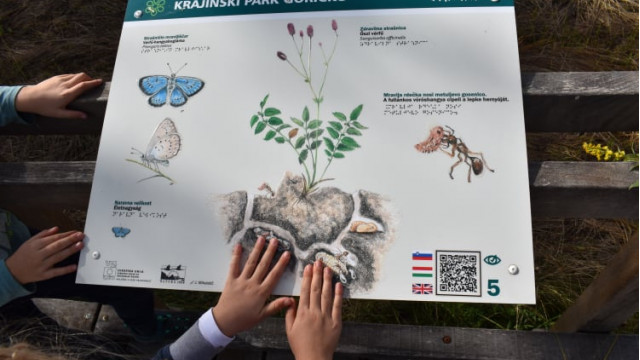 311004782-3453453274879395-3238645969060594440-n