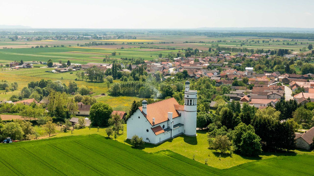 Weiße Taube - Plečnik-Kirche