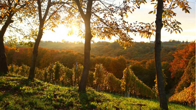 Izlet k sosedom : Hrvaška