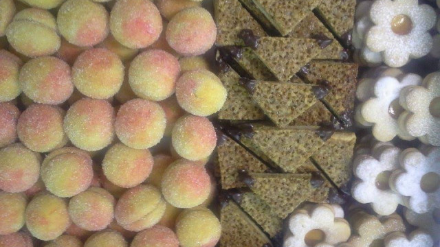 11073957-886441578084430-878432020280239911-n