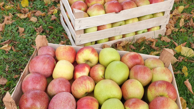 122351605-10221486327879902-2853731882440122212-o-1024x1024