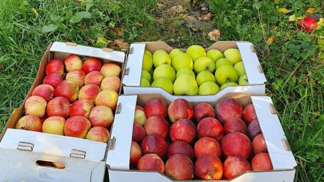 130731585-175070660985100-6919523582160455868-n