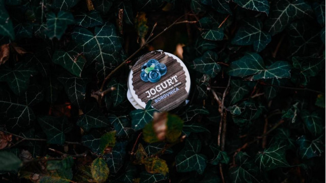 162302451-3605739532887023-826940234899583814-n