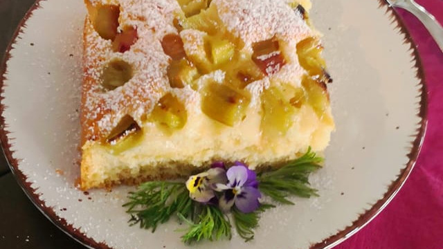 187226919-3925770404181559-2665722254393226539-n