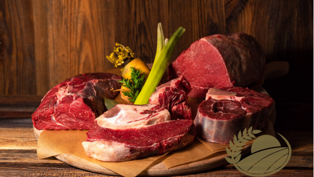 190504347-4002640323116601-8825653848925582434-n