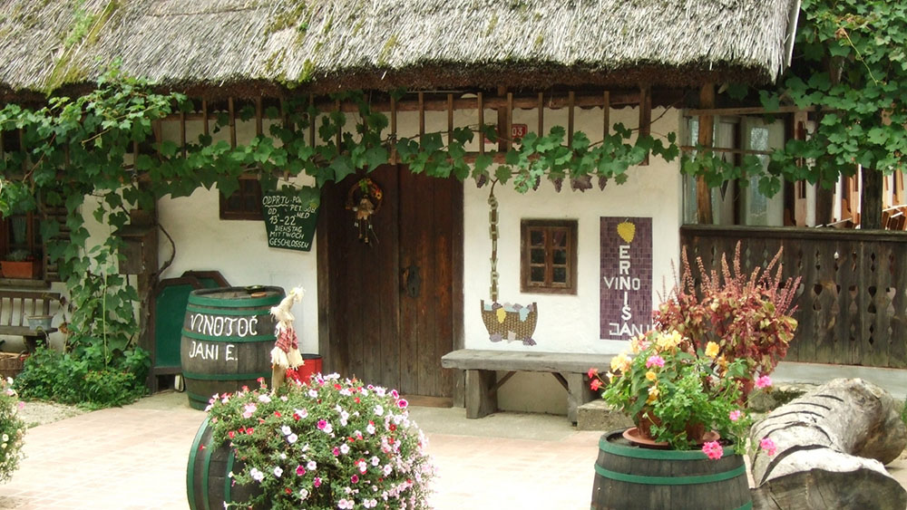 Turistična kmetija z nastanitvijo in vinotoč Jani Erniša 