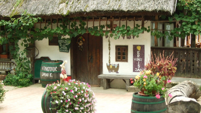 Turistična kmetija z nastanitvijo in vinotoč Jani Erniša 