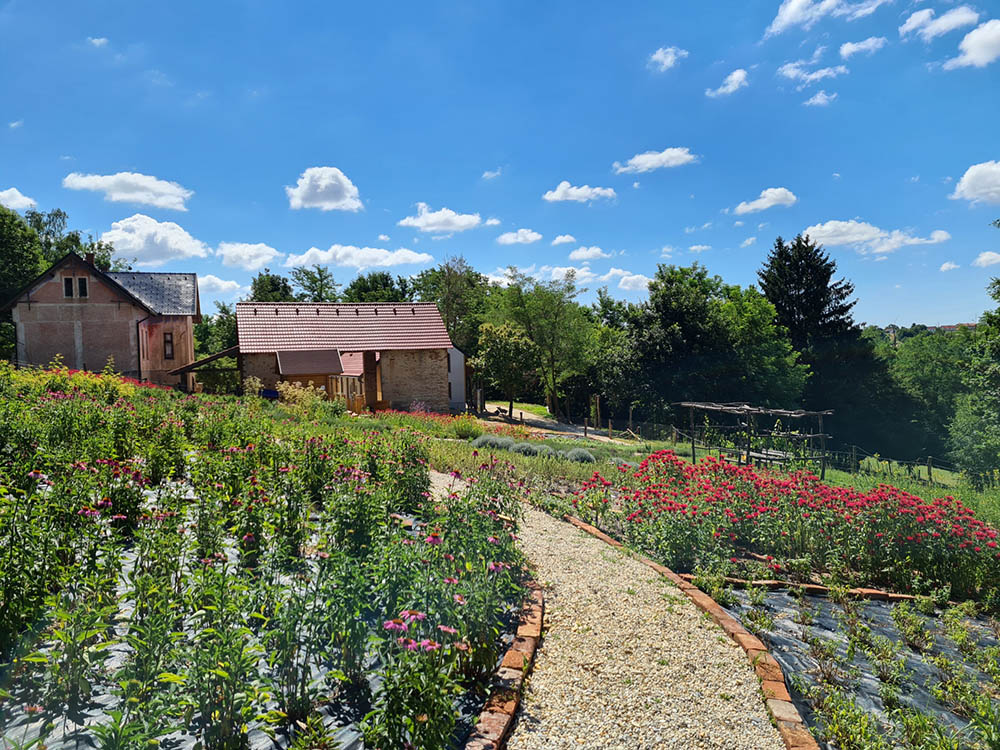 Zeliščna kmetija Vidov brejg 
