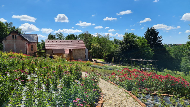 Zeliščna kmetija Vidov brejg 
