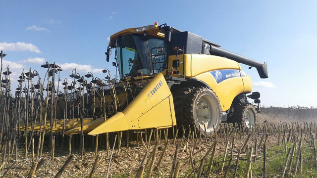 21766609-1493187924061866-737138356334000287-n