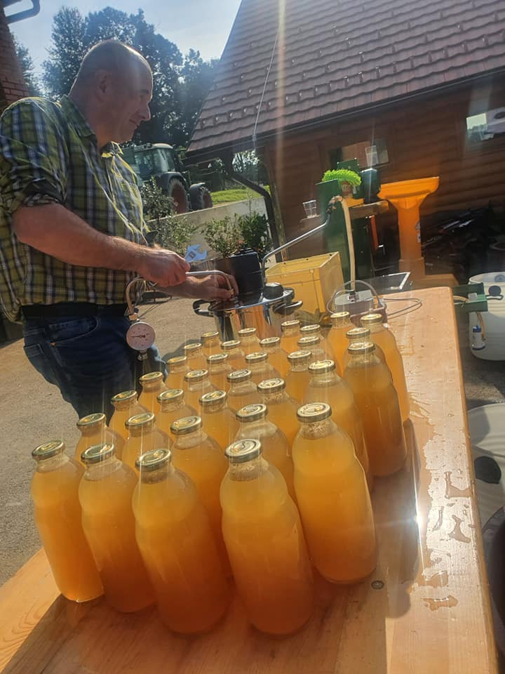 Sadjarsko vinogradniška kmetija Novak 