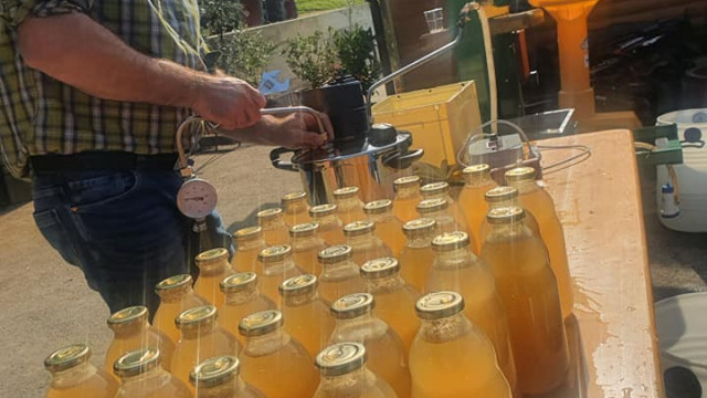 Sadjarsko vinogradniška kmetija Novak 