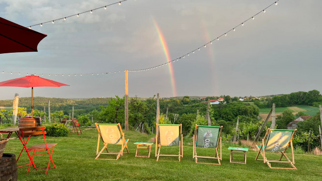 280888406-169364575466936-2622490207318526068-n