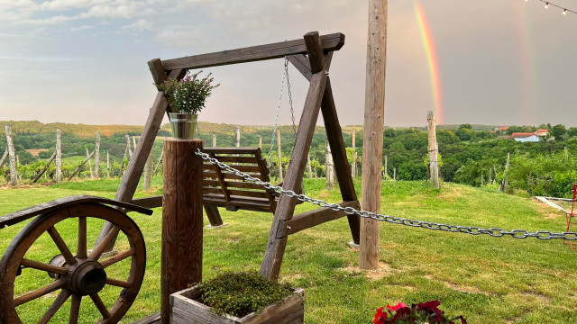 280946829-169364615466932-7161728932882284551-n