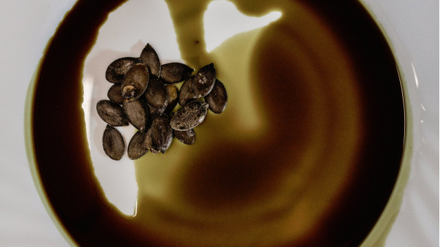 286504751-5105816016132806-4883565633342018249-n