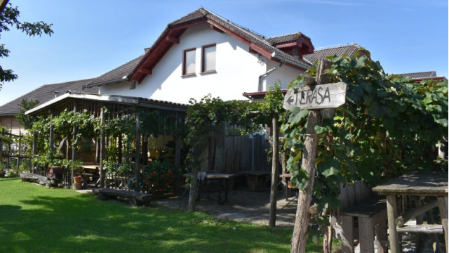 304939616-409637997949294-6825828849589343830-n