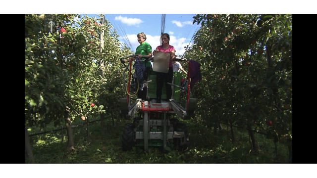 311974147-632612531897575-2979870342346090534-n