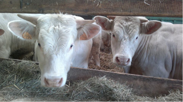 528916-337815602932443-1205403423-n