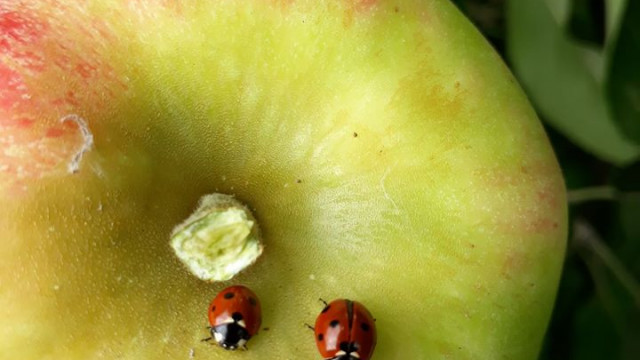 82021949-10218886868375039-2249575609036439552-n