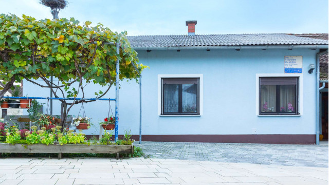 Nastanitve Bela golobica