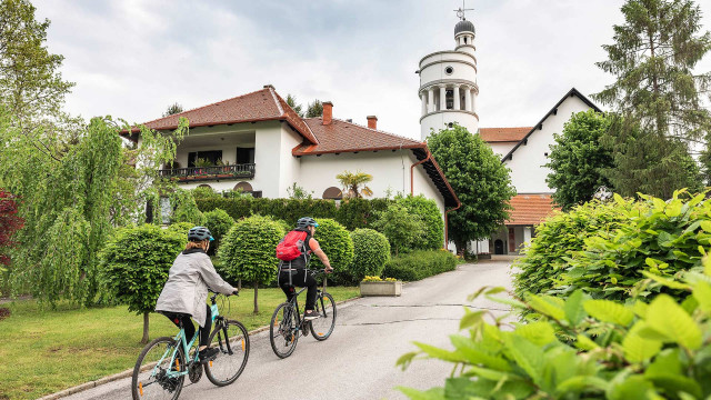 K Plečnikovoj golobici (K Plečnikovi golobici)-3