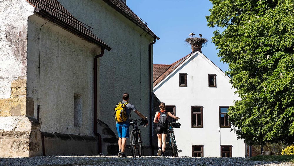 Besuchen Sie die Störche-2