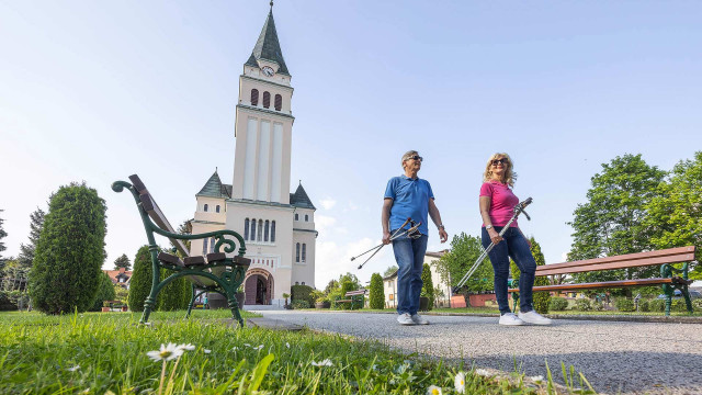 Neman časa pa nej vole  (Nimam časa in ne volje)-1