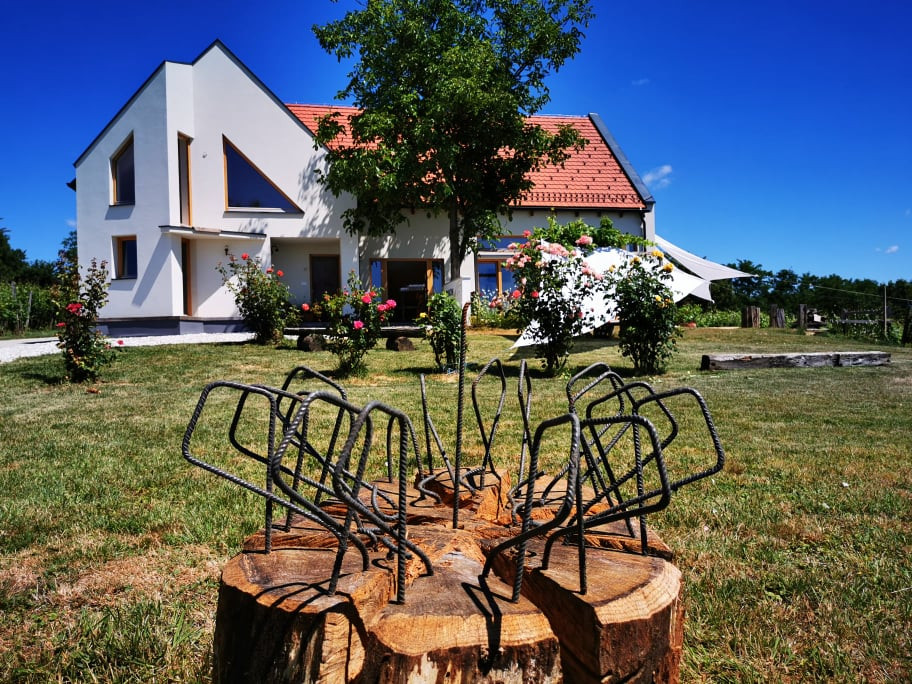 PANON galerija vin