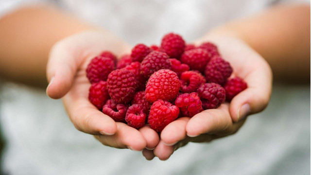 Ekološka kmetija Sep-Vratar 