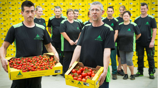 Grede Tešanovci d.o.o.